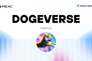 What is Dogeverse – The World’s First Multi-chain Meme Coin