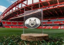 Nottingham Forest’s New Crypto Partner Floki: A Strategic Move or Risky Bet? Nottingham Forest’s New Crypto Partner Floki: A Strategic Move or Risky Bet?