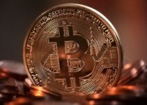 Bitcoin ETFs Attract Record Institutional Interest Despite Market Volatility Bitcoin ETFs Attract Record Institutional Interest Despite Market Volatility