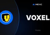 What is Voxie Tactics (VOXEL) What is Voxie Tactics (VOXEL)