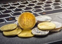 Are The Bitcoin and Crypto Markets Riding a New Wave of Risk-Taking Enthusiasm? Are The Bitcoin and Crypto Markets Riding a New Wave of Risk-Taking Enthusiasm?
