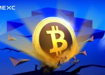 Huge Crash On The Crypto Market – What Will Happen Next? Huge Crash On The Crypto Market – What Will Happen Next?
