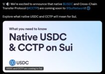 Sui Network Experiences Significant Growth: USDC Integration and Price Surge Analysis Sui Network Experiences Significant Growth: USDC Integration and Price Surge Analysis