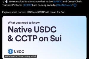 Sui Network Experiences Significant Growth: USDC Integration and Price Surge Analysis