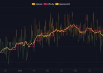 Bitcoin Network Reaches Record Hash Rate Amid Price Stability Bitcoin Network Reaches Record Hash Rate Amid Price Stability