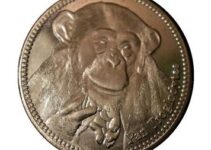 Empowering Conservation: The Impact of Chimpzee Coin  Empowering Conservation: The Impact of Chimpzee Coin