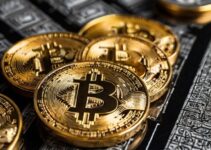 BlackRock’s Bitcoin ETF Options Get SEC Approval on ‘Accelerated Basis’ BlackRock’s Bitcoin ETF Options Get SEC Approval on ‘Accelerated Basis’