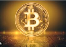Bitcoin Price Fluctuations Intensify Beyond Record Highs as it Approaches $62,000 Again Bitcoin Price Fluctuations Intensify Beyond Record Highs as it Approaches $62,000 Again