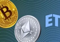 Crypto Powerhouses: Bitcoin and Ethereum ETFs Shine in 2024’s New Launches Crypto Powerhouses: Bitcoin and Ethereum ETFs Shine in 2024’s New Launches