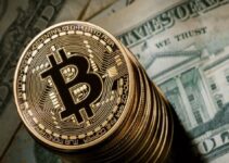 Bitcoin ETFs – The Investment Surge Changing the Game Bitcoin ETFs – The Investment Surge Changing the Game