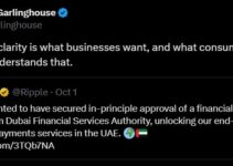Ripple Expands Global Reach with Key Developments in UAE and US Ripple Expands Global Reach with Key Developments in UAE and US