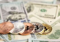 U.S. Government Shifts Stance: A More Welcoming Approach to Cryptocurrency U.S. Government Shifts Stance: A More Welcoming Approach to Cryptocurrency