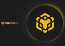 BNB Chain’s Zero-Fee Revolution – Bridging Finance and Blockchain BNB Chain’s Zero-Fee Revolution – Bridging Finance and Blockchain