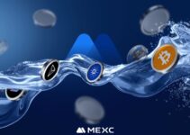 Liquidity Analysis: Which CEX is the Liquidity Leader? Liquidity Analysis: Which CEX is the Liquidity Leader?