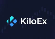 KiloEx(KILO)是什么?一文看懂KiloEx特色、优势、代币经济学、未来发展、空投计划 KiloEx(KILO)是什么?一文看懂KiloEx特色、优势、代币经济学、未来发展、空投计划