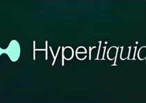 Hyperliquid(HYPE/HYPEEVM)是什么?一文掌握”高性能链上交易平台”如何改变加密市场 Hyperliquid(HYPE/HYPEEVM)是什么?一文掌握”高性能链上交易平台”如何改变加密市场