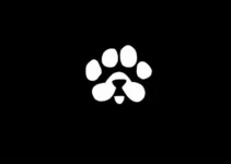 PAWS Token Listing Date Confirmed: Telegram’s Hottest Mini App Enters the Crypto Market PAWS Token Listing Date Confirmed: Telegram’s Hottest Mini App Enters the Crypto Market