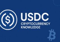 Apa itu USDC? Panduan Lengkap untuk Pemula tentang USD Coin Apa itu USDC? Panduan Lengkap untuk Pemula tentang USD Coin