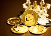 什麼是狗狗幣?DOGE 歷史、挖礦與未來的完整指南 什麼是狗狗幣?DOGE 歷史、挖礦與未來的完整指南