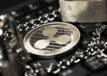 リップル(XRP)とは?特徴・仕組み・将来性を解説【2025年最新動向】 リップル(XRP)とは?特徴・仕組み・将来性を解説【2025年最新動向】