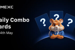 Today’s Hamster Kombat Daily Combo: GameDev for May 14, 2025