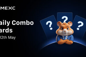 Today’s Hamster Kombat Daily Combo: GameDev for May 12, 2025