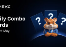 Today’s Hamster Kombat Daily Combo: GameDev for May 21, 2025 Today’s Hamster Kombat Daily Combo: GameDev for May 21, 2025