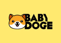What is Baby Doge Coin? Complete Beginner’s Guide – Price, How to Buy & Investment Analysis What is Baby Doge Coin? Complete Beginner’s Guide – Price, How to Buy & Investment Analysis