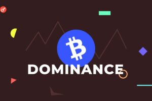 ビットコインドミナンス(BTC.D)とは?仮想通貨市場分析の重要指標 ビットコインドミナンス(BTC.D)とは?仮想通貨市場分析の重要指標