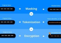 What Is Data Tokenization and Why It Matters What Is Data Tokenization and Why It Matters