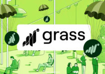 Grass Airdrop: Turn Idle Bandwidth into Crypto Rewards Grass Airdrop: Turn Idle Bandwidth into Crypto Rewards
