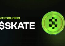 什么是Skate加密货币?多虚拟机区块链基础设施完整指南 什么是Skate加密货币?多虚拟机区块链基础设施完整指南