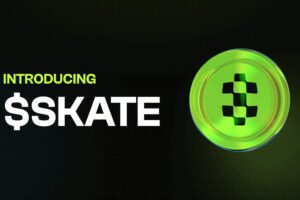 什麼是 Skate 加密貨幣？多虛擬機區塊鏈基礎設施完整指南