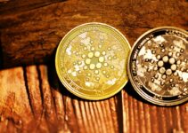 仮想通貨ADA(カルダノ/エイダコイン)とは?特徴や将来性を徹底解説 仮想通貨ADA(カルダノ/エイダコイン)とは?特徴や将来性を徹底解説
