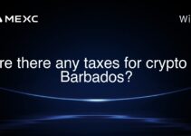 Are there any taxes for crypto in Barbados? Are there any taxes for crypto in Barbados?