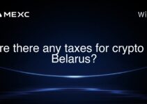 Are there any taxes for crypto in Belarus? Are there any taxes for crypto in Belarus?