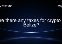 Are there any taxes for crypto in Belize? Are there any taxes for crypto in Belize?