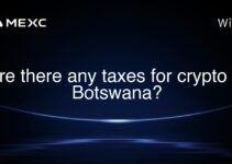 Are there any taxes for crypto in Botswana? Are there any taxes for crypto in Botswana?