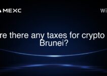 Are there any taxes for crypto in Brunei? Are there any taxes for crypto in Brunei?