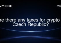 Are there any taxes for crypto in Czech Republic? Are there any taxes for crypto in Czech Republic?