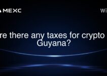 Are there any taxes for crypto in Guyana? Are there any taxes for crypto in Guyana?