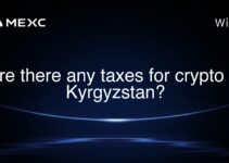 Are there any taxes for crypto in Kyrgyzstan? Are there any taxes for crypto in Kyrgyzstan?