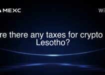 Are there any taxes for crypto in Lesotho? Are there any taxes for crypto in Lesotho?
