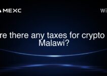 Are there any taxes for crypto in Malawi? Are there any taxes for crypto in Malawi?