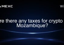 Are there any taxes for crypto in Mozambique? Are there any taxes for crypto in Mozambique?