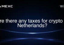 Are there any taxes for crypto in Netherlands? Are there any taxes for crypto in Netherlands?