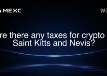Are there any taxes for crypto in Saint Kitts and Nevis? Are there any taxes for crypto in Saint Kitts and Nevis?