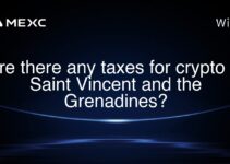 Are there any taxes for crypto in Saint Vincent and the Grenadines? Are there any taxes for crypto in Saint Vincent and the Grenadines?