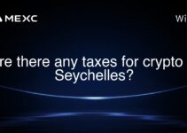 Are there any taxes for crypto in Seychelles? Are there any taxes for crypto in Seychelles?