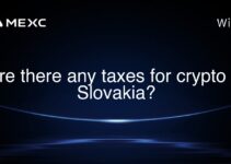 Are there any taxes for crypto in Slovakia? Are there any taxes for crypto in Slovakia?